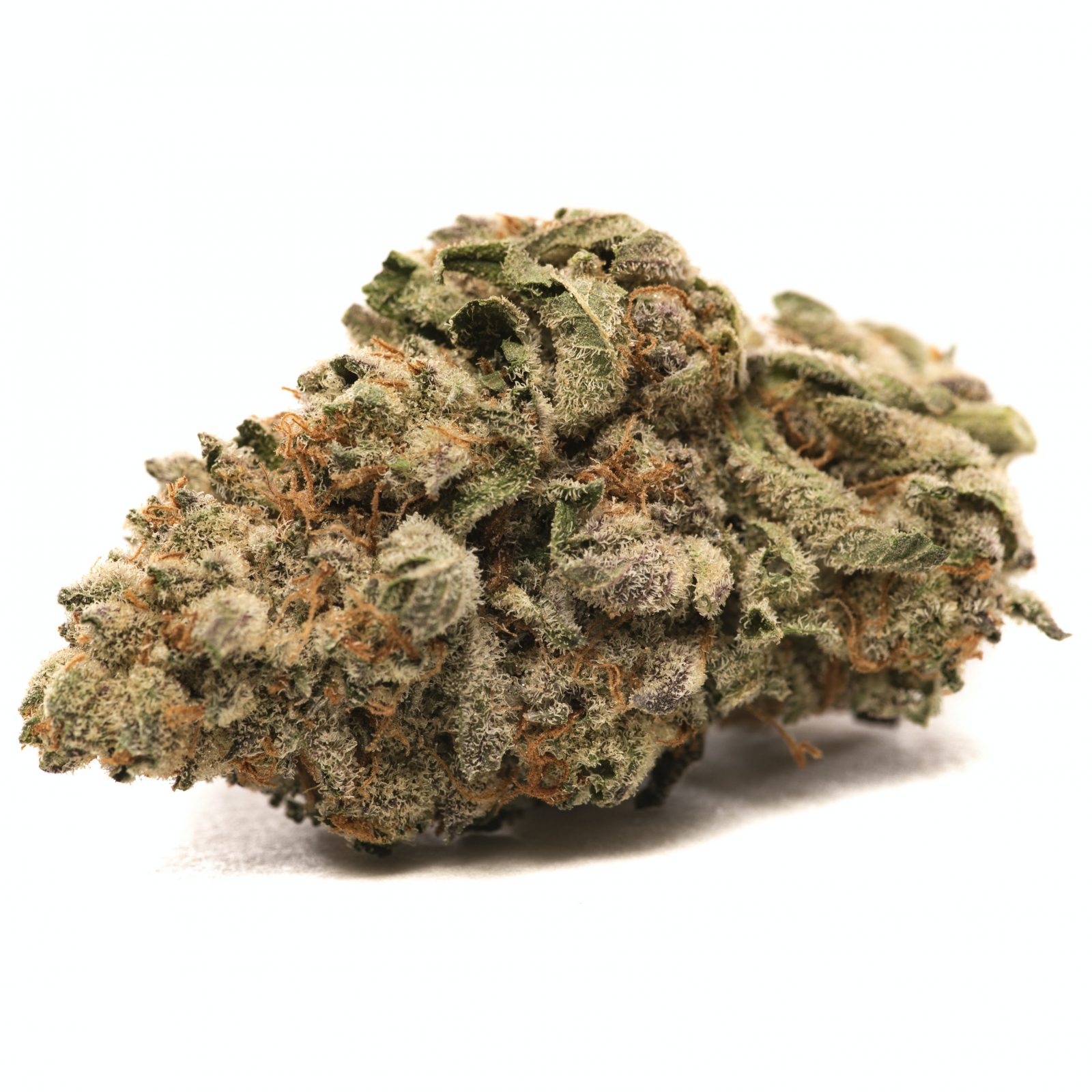 Grease Monkey 